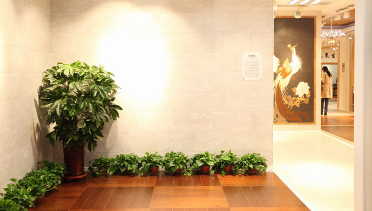創(chuàng)新發(fā)展，永不止步 4